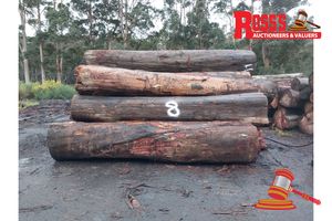8 · 18 x EUCALYPTUS MARGINATA JARRAH LOGS, APPROX DIMENSIONS: 4.3-5.1m/500-1300mm, APPROX WEIGHT: 48.9 TONNES - NOTE: DOMESTIC PROCESSING REQUIRED