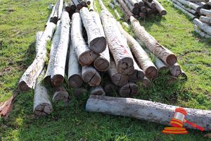 348 · BUNDLE OF 25 X JARRAH LOGS, 2.0M LONG, 125 - 150mm DIAMETER