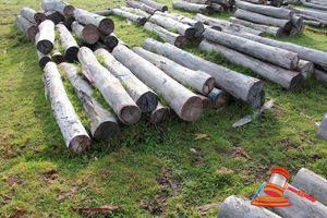 321 · BUNDLE OF 12 X JARRAH STRAINER POST LOGS, 10 @ 1.8M LONG, 250mm DIAMETER, 2 @ 2.2M LONG, 300mm DIAMETER