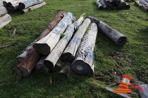 312 · BUNDLE OF 10 x JARRAH STRAINER POST LOGS,4 @ 2.0, 3 @ 2.4M LONG, 200mm DIAMETER, 1 @ 1.8, 1 @ 2.2M LONG, 350mm DIAMETER