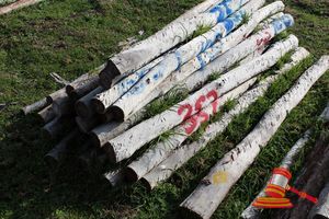 357 · BUNDLE OF 25 X JARRAH FENCE POSTS LOGS, 2.0M LONG, 125mm DIAMETER