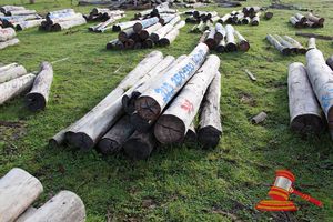 313 · BUNDLE OF 12 X JARRAH STRAINER POST LOGS, 2.0 - 2.7M LONG, 250 - 350mm DIAMETER