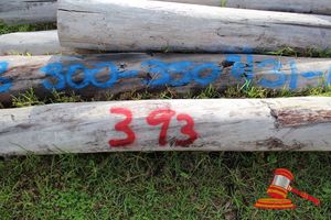 393 · BUNDLE OF 8 X JARRAH LOGS - 3.1 - 4.7 M LONG, 300 - 350mm DIAMETER
