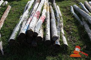 350 · BUNDLE OF 25 X JARRAH FENCE POSTS LOGS, 2.0M LONG, 100 - 125mm DIAMETER