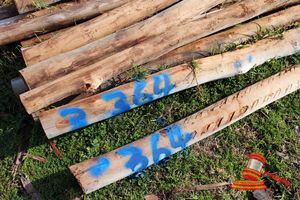 364 · BUNDLE OF 18 X JARRAH FENCE RAILS LOGS, 3.0M LONG 100 - 125 mm DIAMETER