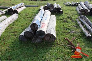 325 · BUNDLE OF 6 X JARRAH STRAINER POST LOGS,5 @ 1.8M LONG, 300mm DIAMETER, 1 @ 2.1M LONG, 400mm DIAMETER