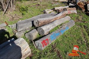 187 · BUNDLE OF 9 X JARRAH STRAINER POST LOGS, 1.7 - 2.4 M LONG, ALL 300mm DIAMETER