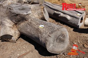 126 · ALL209-LANDSCAPE LOGS 550-880mm (Diameter) x 2.5m Landscape MULTIFORKED Log Stump