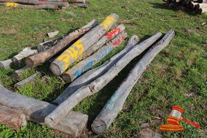 345 · BUNDLE OF 11 X JARRAH FENCE POSTS LOGS, 1.2M LONG, 100 - 125mm DIAMETER