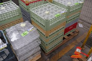 APPROX 100 X WINE GLASS, CLEAR, STEMMED, IN 4 X COMMERCIAL DISHWASHER RACKS