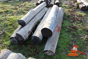 248 · BUNDLE OF 6 X JARRAH STRAINER POST LOGS,2.4 - 2.8M LONG, ALL 350mm DIAMETER