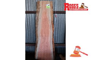 60 · JARRAH SLAB, L1540mm x W500mm/650mm x DEPTH 34/35mm, APPROX