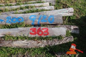 363 · BUNDLE OF 9 X JARRAH LOGS, 2.0M LONG, 150 - 200mm DIAMETER