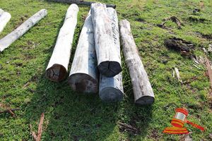 338 · BUNDLE OF 5 X JARRAH STRAINER POST LOGS, 2 @ 1.8, 1 @ 2.2, 2 @ 2.4M LONG, 300 - 350mm DIAMETER