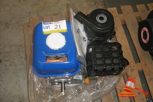 Petrol Engine, Single Cylinder, Pull Start, # Gb200 (Unused)