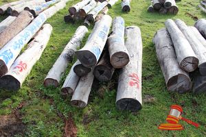 316 · BUNDLE OF 8 X JARRAH STRAINER POST LOGS,2 @ 2.2M LONG, 200mm DIAMETER, 5 @ 2.1M LONG, 250mm DIAMETER, 1 @ 2.2M LONG, 350mm DIAMETER