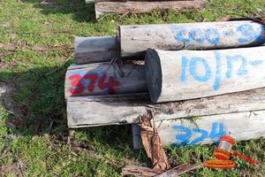 374 · BUNDLE OF 10 X JARRAH FENCE POSTS LOGS, 1.2 - 1.8M LONG, 200 - 300mm DIAMETER