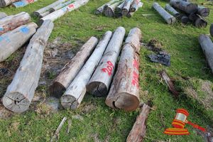 209 · BUNDLE OF 5 X JARRAH LOGS, 3.0 - 4.0 M LONG, ALL 300mm DIAMETER