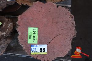 JARRAH BURL, L380mm x W400 x D-100mm, APPROX SIZES