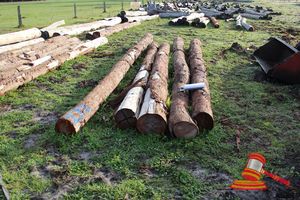 272 · BUNDLE OF 5 X JARRAH LOGS,2 @ 6.6, 1 @ 5.5, 2 @ 5.1 M LONG, ALL 350mm DIAMETER