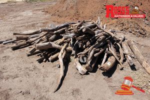 FWL201-FIREWOOD LOGS Landscape Log Sticks (Bundle)
