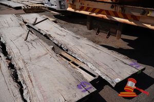 Live Edge Marri Slab Some Curl, 6.0 X 750/900 X 60