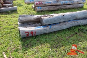 391 · BUNDLE OF 2 X MARRI LOGS - 1 @ 4.0, 1 @ 5.1 M LONG, 300 - 400 mm DIAMETER & BUNDLE OF 4 X JARRAH LOGS, 1 @ 4.8 M LONG, 3 @ 5.6 M LONG, 300 - 400 mm DIAMETER