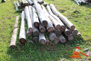 347 · BUNDLE OF 25 X JARRAH FENCE POSTS LOGS, 2.0M LONG, 125 - 150mm DIAMETER