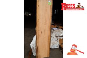 BLACKBUTT SLAB, L1950mm x W520mm x W540mm x W510mm x D-40mm, APPROX