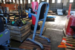 23 · 1 X HANGING LEG RAISE STATION, COMMERCIAL GRADE (SOME MARKS)