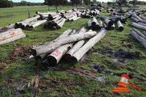 285 · BUNDLE OF 6 X JARRAH LOGS, 1 @ 2.7, 3 @ 3.9, 1 @ 4.3, 1 @ 4.4M LONG, 300 - 350mm DIAMETER