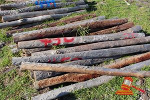 450 · BUNDLE OF 25 X JARRAH FENCE POSTS LOGS - 2.0 M LONG, 100mm DIAMETER