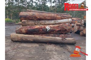 6 · 29 x EUCALYPTUS MARGINATA JARRAH LOGS, APPROX DIMENSIONS: 3.8-5.2m/400-1100mm, APPROX WEIGHT: 50 TONNES - NOTE: DOMESTIC PROCESSING REQUIRED