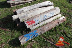 376 · BUNDLE OF 10 X JARRAH FENCE POSTS LOGS, 1.2 - 1.7M LONG, 200 - 300mm DIAMETER
