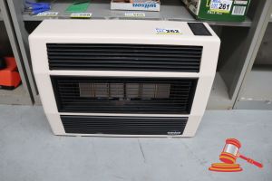262 · EVERDURE NATURAL GAS HEATER, UNTESTED