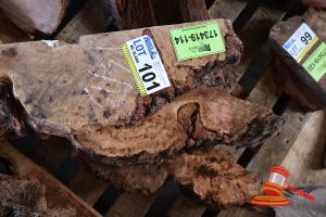 Blackbutt Off Cut Slices, Various Sizes And Lengths Etc, Qty