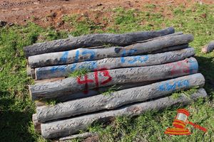 413 · BUNDLE OF 25 X JARRAH FENCE POSTS LOGS - 2.0 M LONG, 150mm DIAMETER