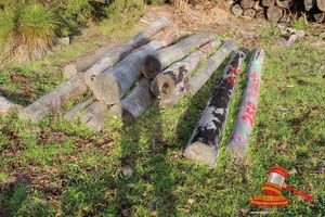 255 · BUNDLE OF 12 X JARRAH LOGS,2.4 - 3.0 M LONG, 200 - 350mm DIAMETER