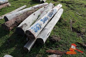337 · BUNDLE OF 7 X JARRAH STRAINER POST LOGS, 2 @ 2.4, 5 @ 3.0M LONG, ALL 300mm DIAMETER