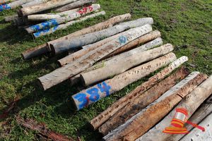 384 · BUNDLE OF 13 X JARRAH FENCE POSTS LOGS, 1.2 - 1.7 M LONG, 150 mm DIAMETER