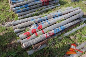 399 · BUNDLE OF 25 X JARRAH FENCE POSTS LOGS - 2.0 M LONG, 100mm DIAMETER