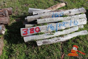 380 · BUNDLE OF 16 X JARRAH FENCE POSTS LOGS, 1.2 - 1.6M LONG, 150 mm DIAMETER