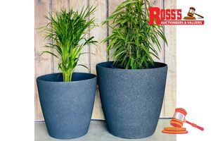 Matching set of 3 Grey Artisan Planters - Size: 35 x 34 cm each, RRP $240 Create a stylish designer display from the 2001 Maxi Pot range, featuring a round tapered planter with a smooth finish, this range brings a clean, contemporary look to homes, patios, courtyards, entryways and landscaped spaces. Constructed from stone-resin composite: 50% stone, 45% high-density resin and 5% fibreglass, it combines practical lightweight handling with a premium look. It is designed for indoor and outdoor use