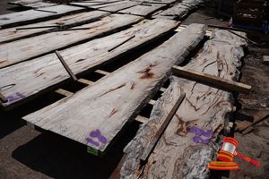 5 · LIVE EDGE MARRI SLAB, 5.2 x 450/850 x 60