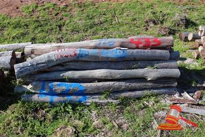 433 · BUNDLE OF 25 X JARRAH FENCE POSTS LOGS - 2.0 M LONG, 125mm DIAMETER