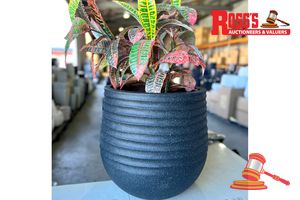 112 · Matching set of 2 Mediterranean Black Planters - Sizes: 41 x 26 cm, 29 x 19 cm, RRP $145 Create a stylish designer display from the RippleLite Bowl range, featuring a wide low bowl planter with a ribbed coastal finish, this range brings a clean, contemporary look to homes, patios, courtyards, entryways and landscaped spaces. Constructed from super-lightweight stone-resin blend, it combines practical lightweight handling with a premium look. It is designed for indoor and outdoor use, UV resistant