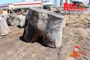 117 · ALL200- LANDSCAPE LOGS 1200-1600mm (Diameter) x 1.4m Landscape Log