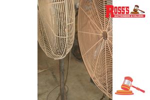 2 X Workshop Pedestal Fans