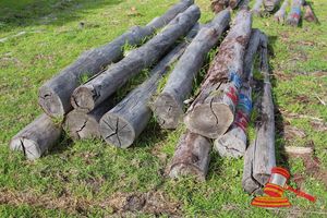 BUNDLE OF 10 X JARRAH LOGS, 3.0 M LONG, 200mm DIAMETER