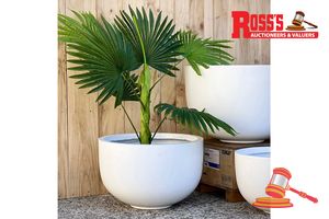 Matching set of 3 Matte Black Planters - Sizes: 25.5 x 25cm, 30.5 x 30cm,37 x 36.5cm, RRP $290 Create a stylish designer display from the Stripy Cylinder Planter range, featuring a cylindrical planter with vertical stripes with a matte striped finish, this range brings a clean, contemporary look to homes, patios, courtyards, entryways and landscaped spaces. Constructed from lightweight fibreglass-clay construction, it combines practical lightweight handling with a premium look. It is designed fo
